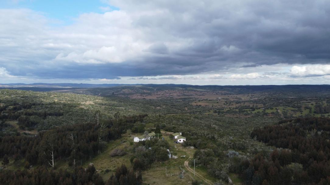 Campo Ganadero Forestal - 400 has - IC: 55-1