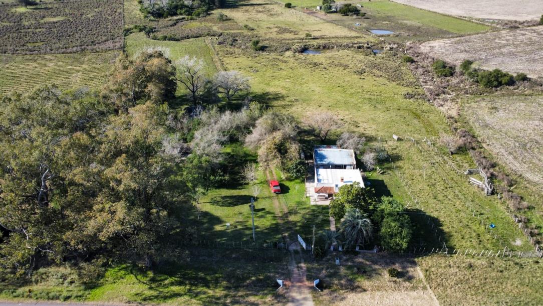 Chacra - 4 has - IC: 59-3