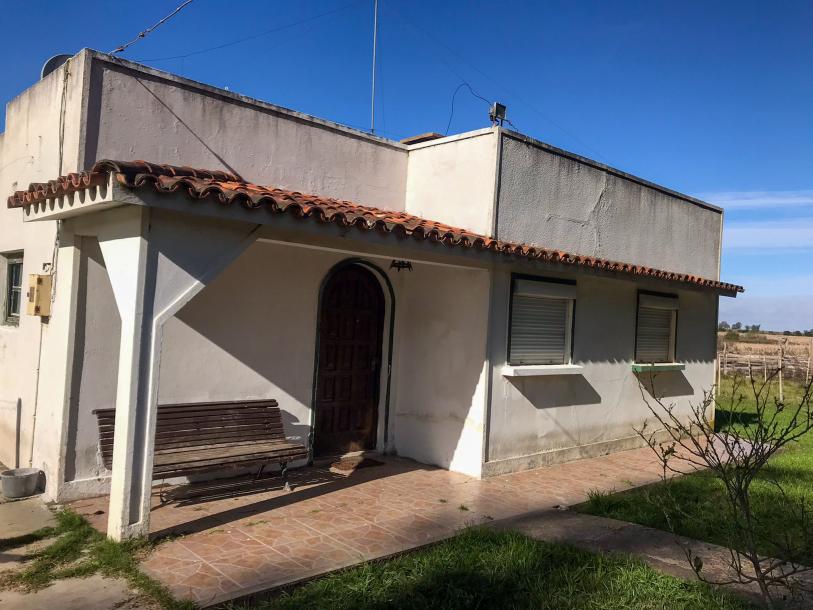 Chacra - 4 has - IC: 59-1