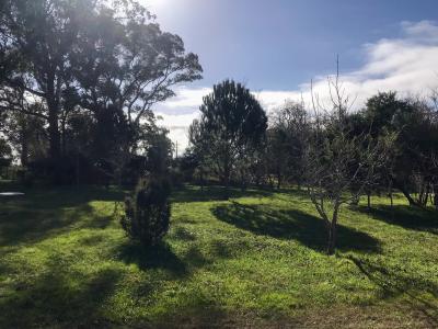 Chacra - 4 has - IC: 59