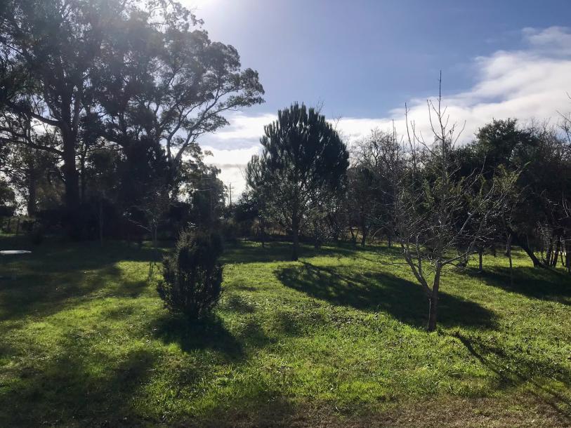 Chacra - 4 has - IC: 59-2