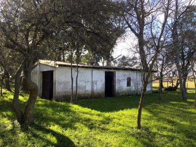 Chacra - 4 has - IC: 59