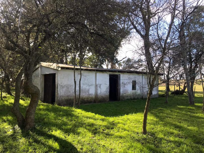 Chacra - 4 has - IC: 59-4