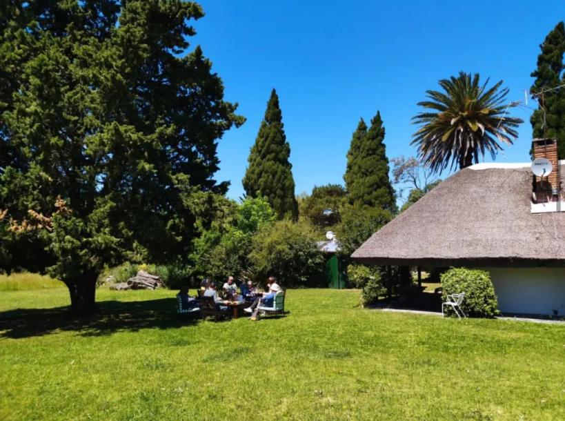 Chacra - 6.6 has - Rincón de Carrasco-3