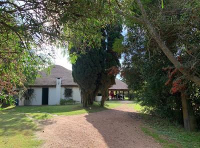 Chacra - 6.6 has - Rincón de Carrasco