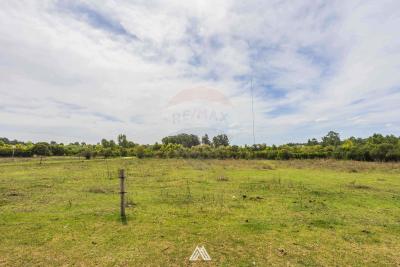 Chacra - 14 has. - Manga, Montevideo