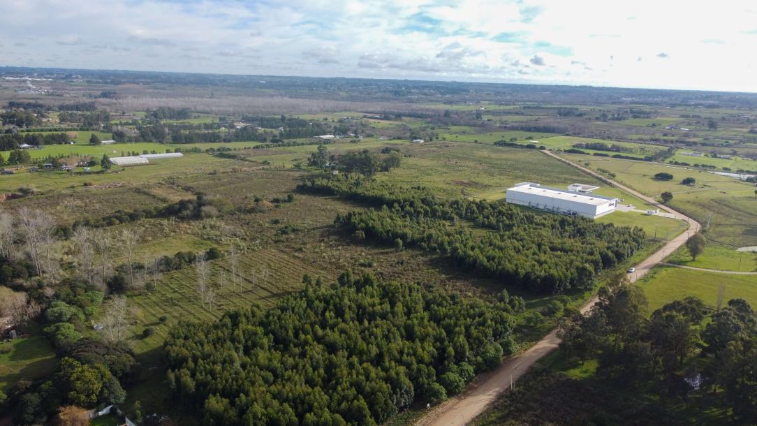 Terrenos - (3 + 5) has - IC: 138-1