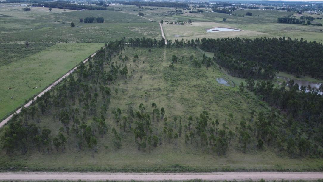 6,5 has. - Ciudad de Durazno-2