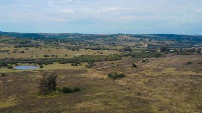 Campo Fraccionado en Chacras - 86 has