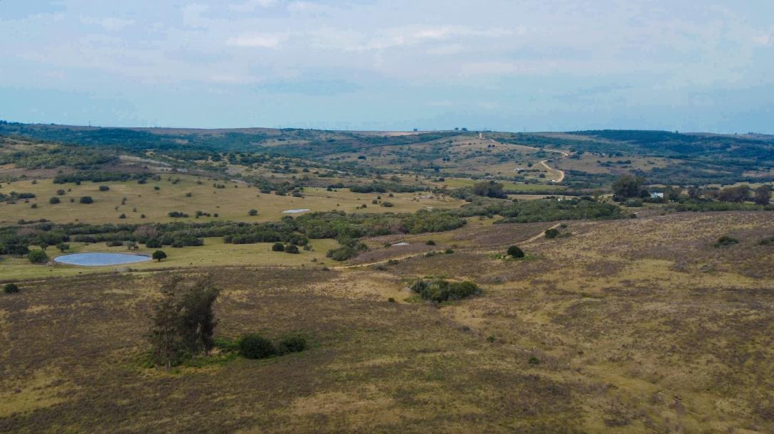 Campo Fraccionado en Chacras - 86 has-1