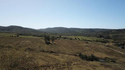 Campo Fraccionado en Chacras - 86 has