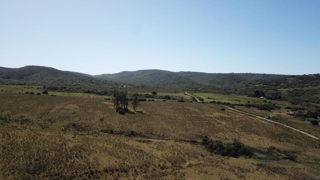 Campo Fraccionado en Chacras - 86 has-3