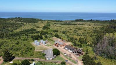 Terreno - 33.5 has - Punta Yeguas