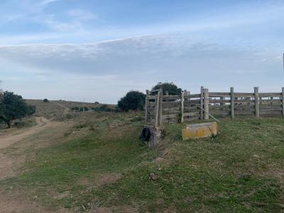 Campo Ganadero Forestal - 700 has. -IC: 73