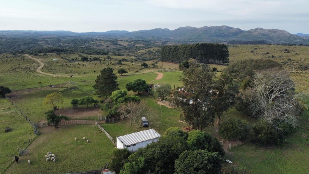 Campo Ganadero Forestal - 700 has. -IC: 73-2