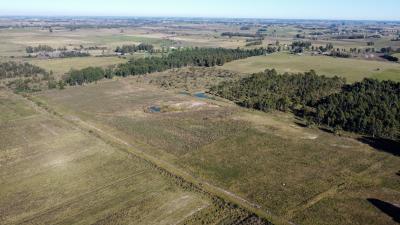 Chacras - 3 has. - IC: 113