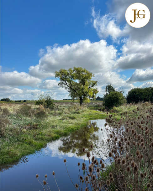 Chacra - 25 has. - Santa Lucia, Canelones-2