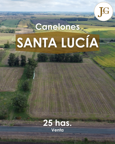 Chacra - 25 has. - Santa Lucia, Canelones