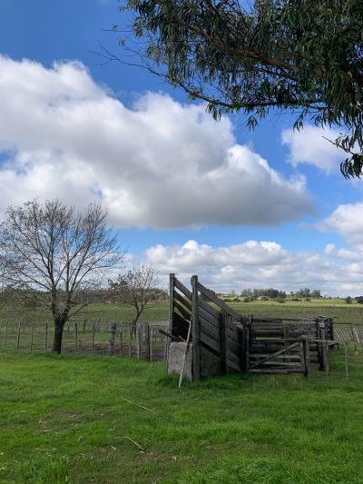 Chacra - 56 has. - IC: 98