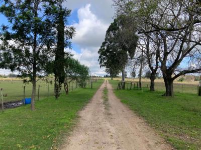 Chacra - 56 has. - IC: 98