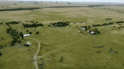 Campo Ganadero - 2050 has - IC: 100