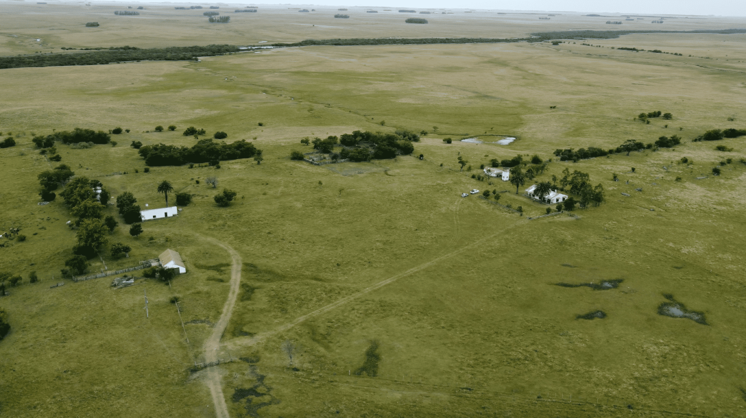 Campo Ganadero - 2050 has - IC: 100-2