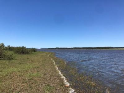 Campo Agricola Ganadero - 2400 has - IC: 148