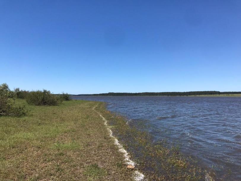 Campo Agricola Ganadero - 2400 has - IC: 148-3