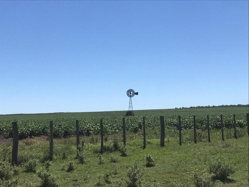 Campo Agricola Ganadero - 2400 has - IC: 148-1