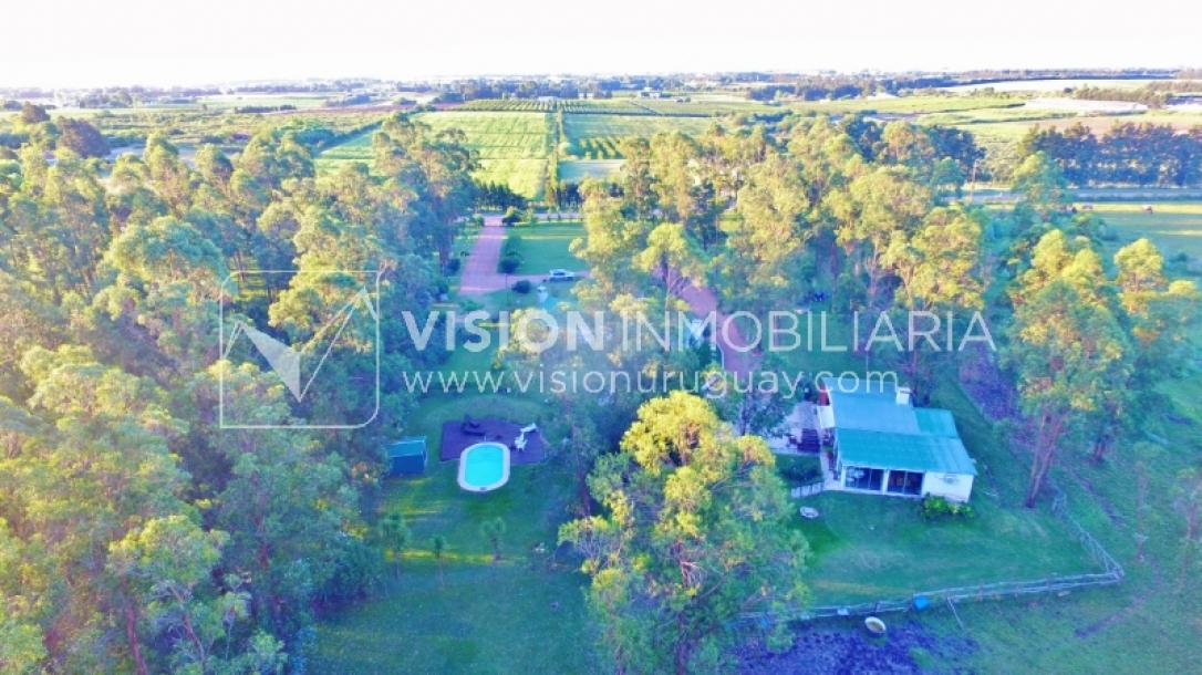 Chacra de 15 hás con el confort de hermosa casa reciclada, barbacoa y piscina climatizada.-8