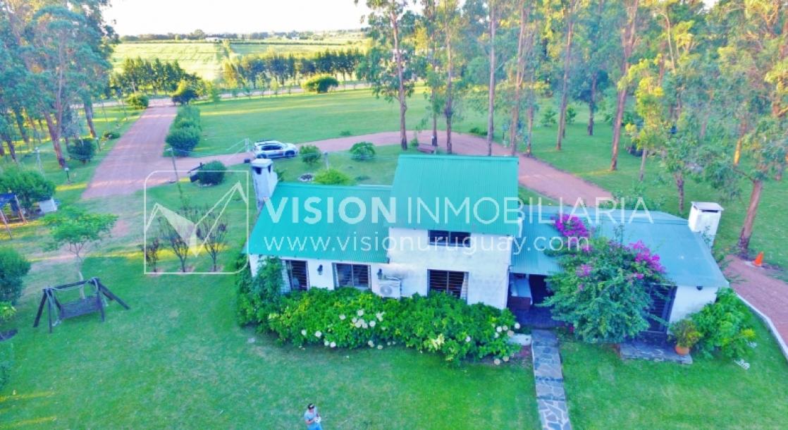 Chacra de 15 hás con el confort de hermosa casa reciclada, barbacoa y piscina climatizada.-15