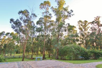 Chacra de 15 hás con el confort de hermosa casa reciclada, barbacoa y piscina climatizada.