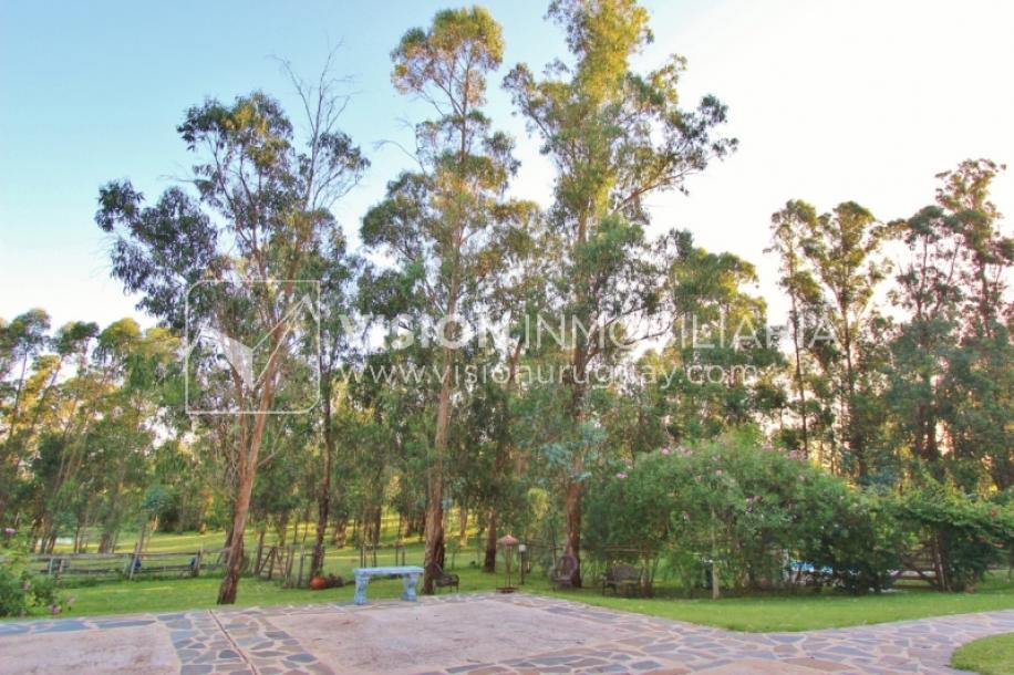 Chacra de 15 hás con el confort de hermosa casa reciclada, barbacoa y piscina climatizada.-35
