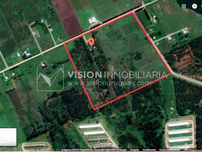 Chacra de 15 hás con el confort de hermosa casa reciclada, barbacoa y piscina climatizada.