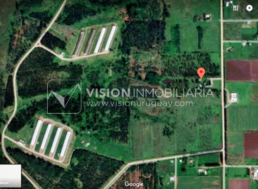 Chacra de 15 hás con el confort de hermosa casa reciclada, barbacoa y piscina climatizada.-73