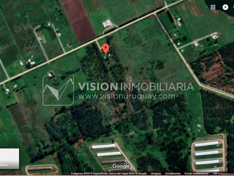 Chacra de 15 hás con el confort de hermosa casa reciclada, barbacoa y piscina climatizada.-80