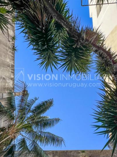 Oportunidad de Inversión: Venta de Mansión de 1905 de prestancia Señorial. Son 676 m2 en 2 plantas. Inmaculada, gran nivel. Amueblada. Ciudad Vieja. Terreno de 393 m2. Fachada de 10,5 mts. por calle Misiones. Protección Patrimonial grado 3 - U$ 507.1