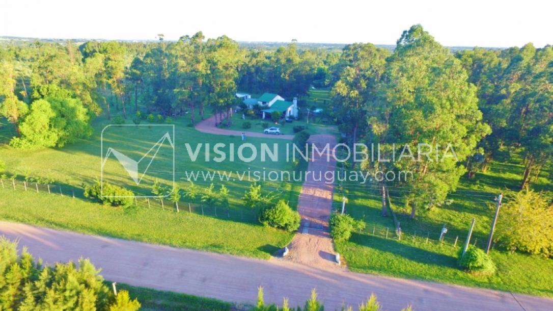 Chacra de 15 hás con el confort de hermosa casa reciclada, barbacoa y piscina climatizada.-4