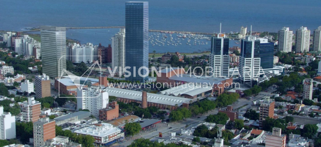 Oficina en Torre IV - Mvdeo. World Trade Center-12