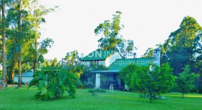 Chacra de 15 hás con el confort de hermosa casa reciclada, barbacoa y piscina climatizada.