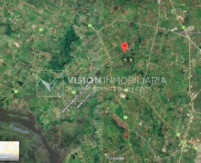 Chacra de 15 hás con el confort de hermosa casa reciclada, barbacoa y piscina climatizada.