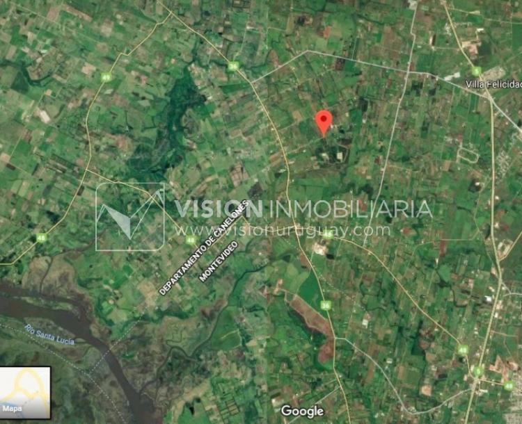 Chacra de 15 hás con el confort de hermosa casa reciclada, barbacoa y piscina climatizada.-78