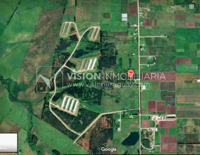 Chacra de 15 hás con el confort de hermosa casa reciclada, barbacoa y piscina climatizada.