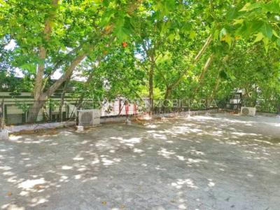 Apto. con Renta, 2 Dorm y 2 Baños, 63 m2, Cordón Sur, 2do Piso por Escalera, Parrillero compartido