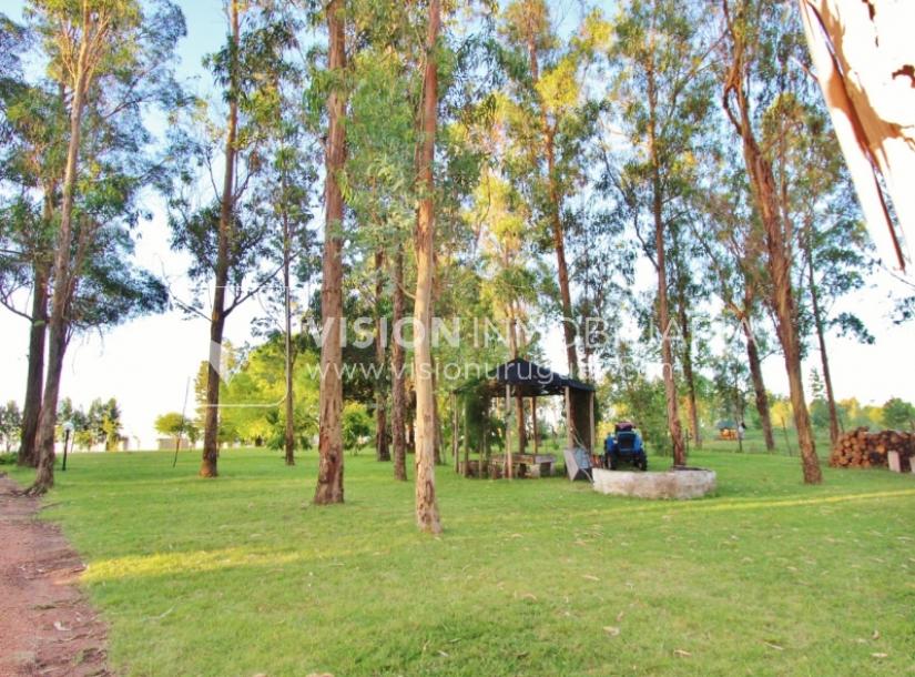 Chacra de 15 hás con el confort de hermosa casa reciclada, barbacoa y piscina climatizada.-36