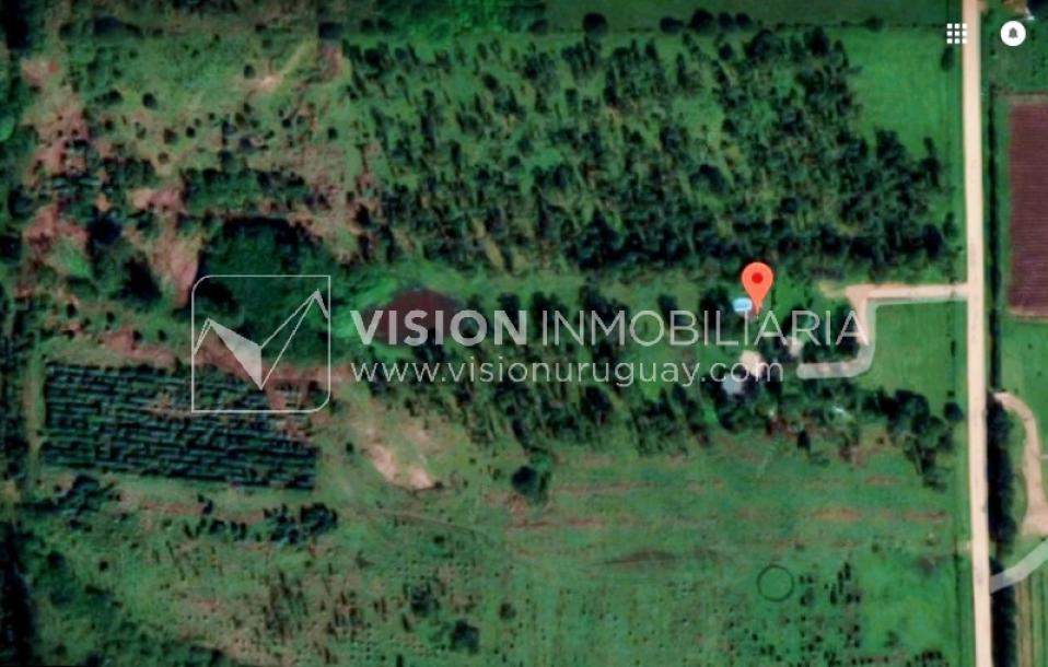 Chacra de 15 hás con el confort de hermosa casa reciclada, barbacoa y piscina climatizada.-81