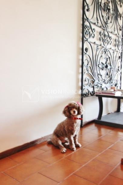 Apartamento en piso alto, 2 dorm. y servicio, muy amplios ambientes 118m2 con amenities y gran confort.-13