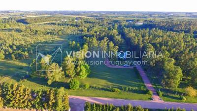 Chacra de 15 hás con el confort de hermosa casa reciclada, barbacoa y piscina climatizada.