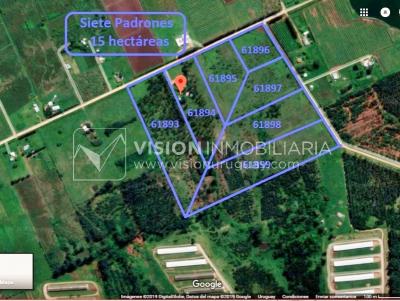 Chacra de 15 hás con el confort de hermosa casa reciclada, barbacoa y piscina climatizada.