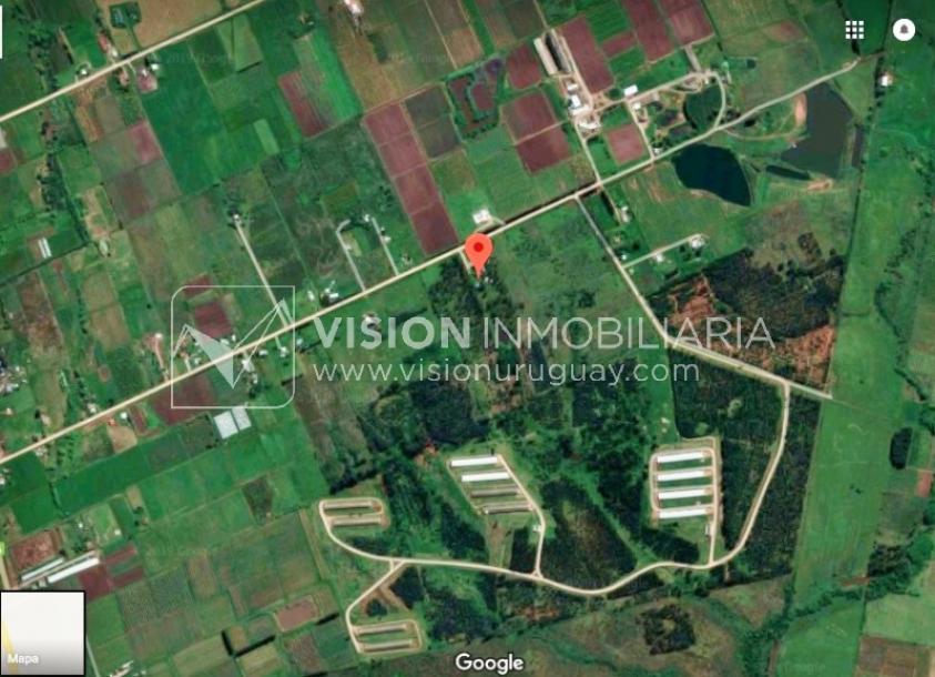 Chacra de 15 hás con el confort de hermosa casa reciclada, barbacoa y piscina climatizada.-79